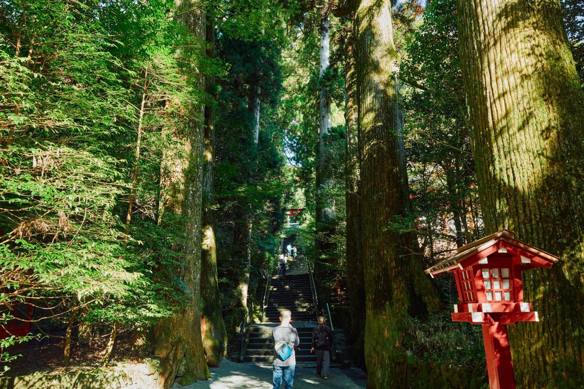 Villa Hakone Kabuto 古民家旅館 150平米 バス停迄一分 準天然温泉 最大12名 מראה חיצוני תמונה